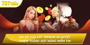 Đá Gà Cưa Sắt 789WIN