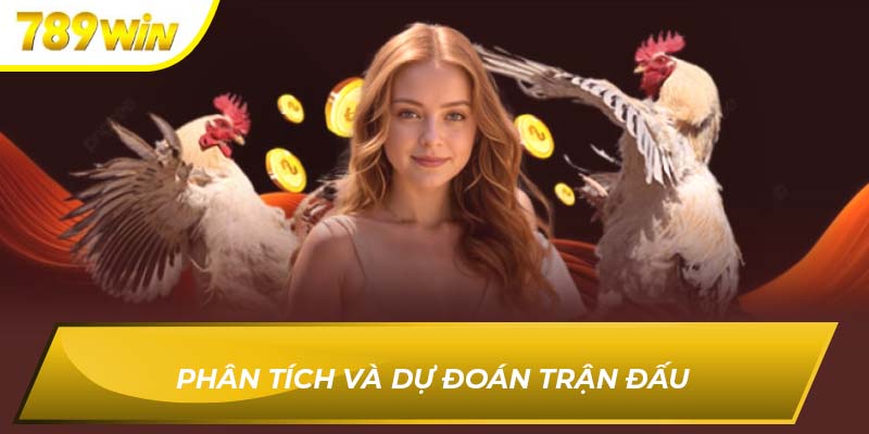 Phân tích và dự đoán trận đấu