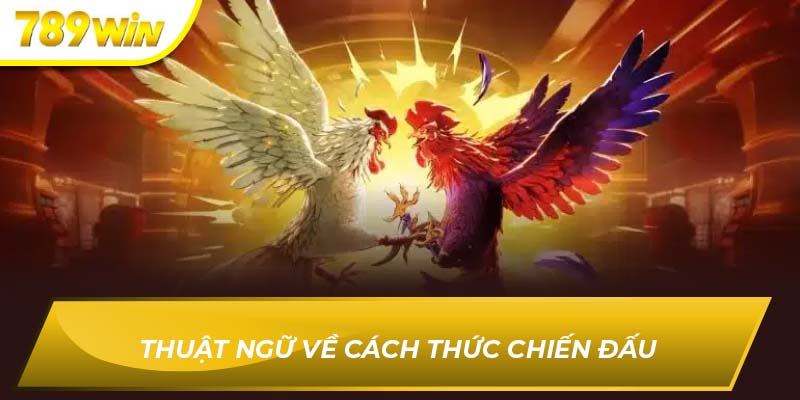 Thuật ngữ về cách thức chiến đấu