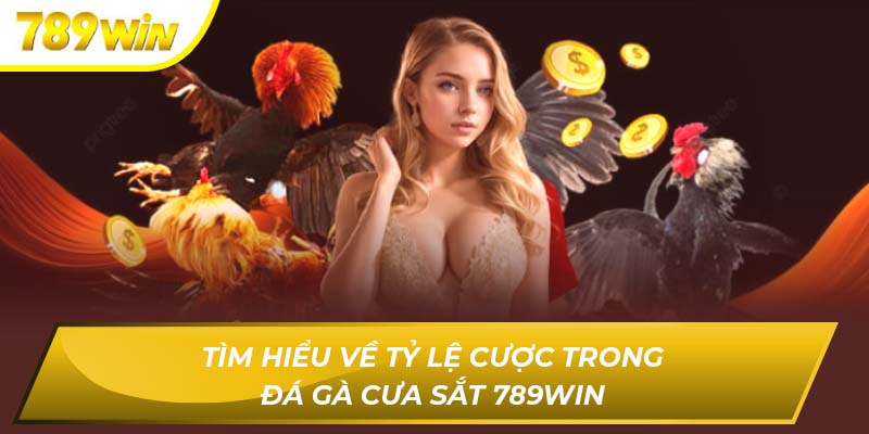 Tìm hiểu về tỷ lệ cược trong đá gà cưa sắt 789WIN