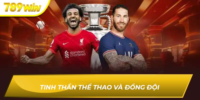 Bóng phủi là gì?